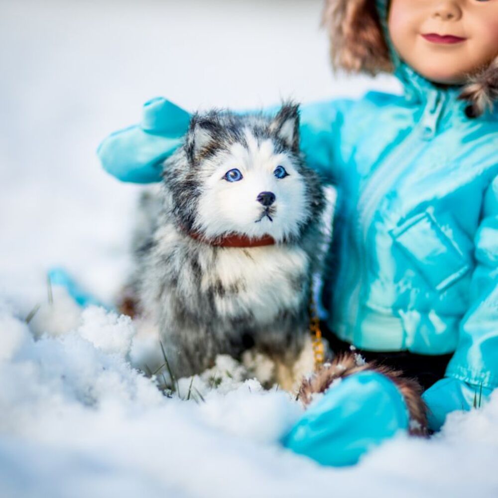 The Queen's Treasures 18 In  Doll  Husky Puppy Dog with Leash and Collar